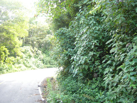 P1100425