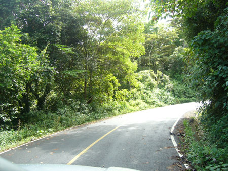 P1100427