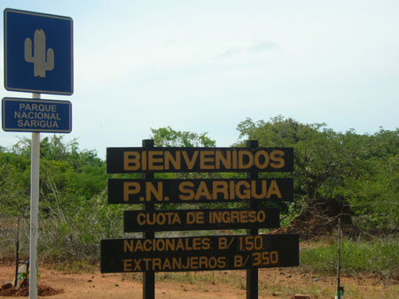 P1100636
