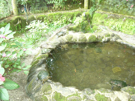 P1100529