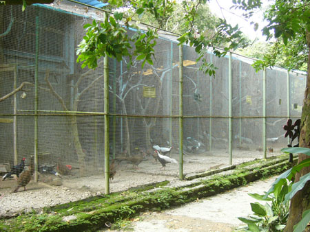 P1100555