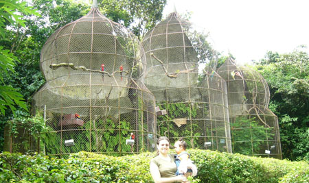 P1100570